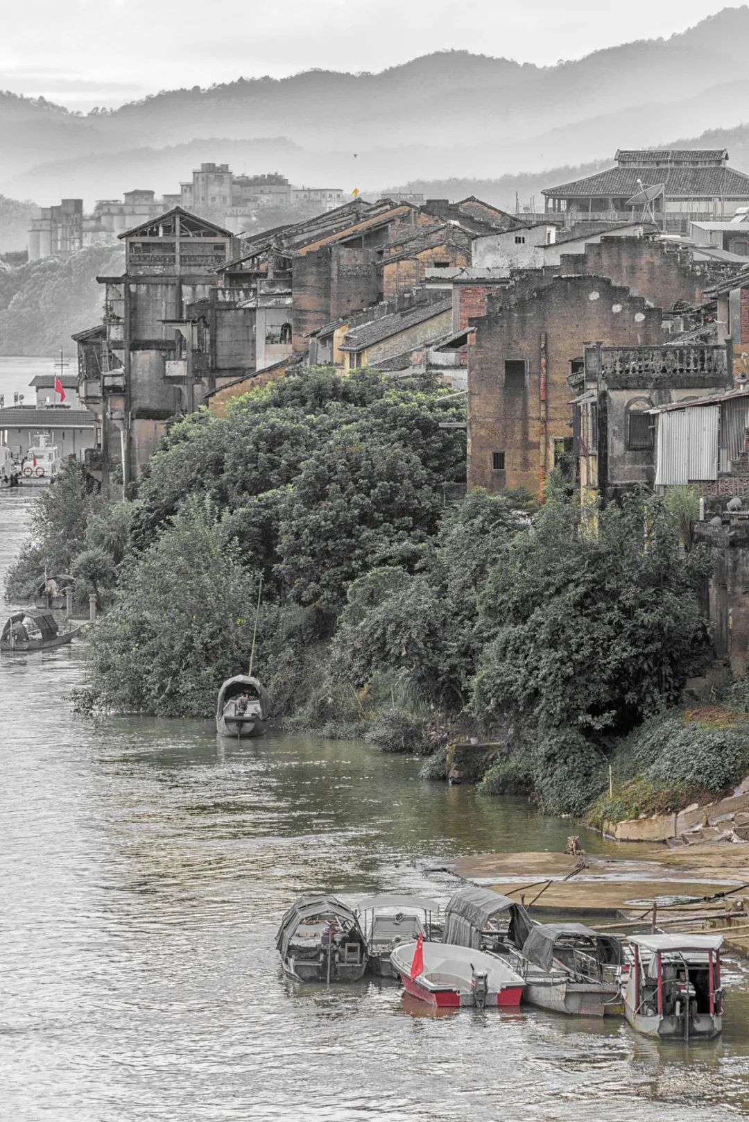 张颂文说的是客家话还是粤语,张颂文难怪会说客家话