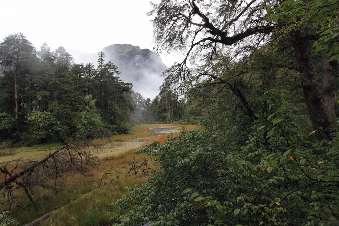 甘孜海螺沟冬季旅行,元旦甘孜旅游攻略