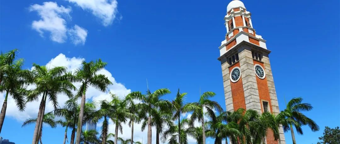 香港优才计划一年多少个名额 (香港优才计划基本资格)