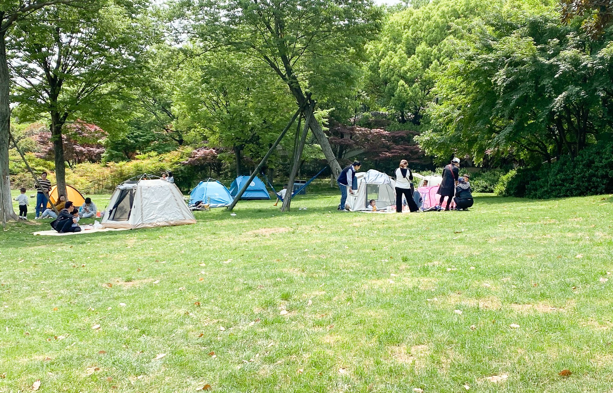 让别人羡慕，夏日野外露营不再闷热，我用上了移动户外便携空调