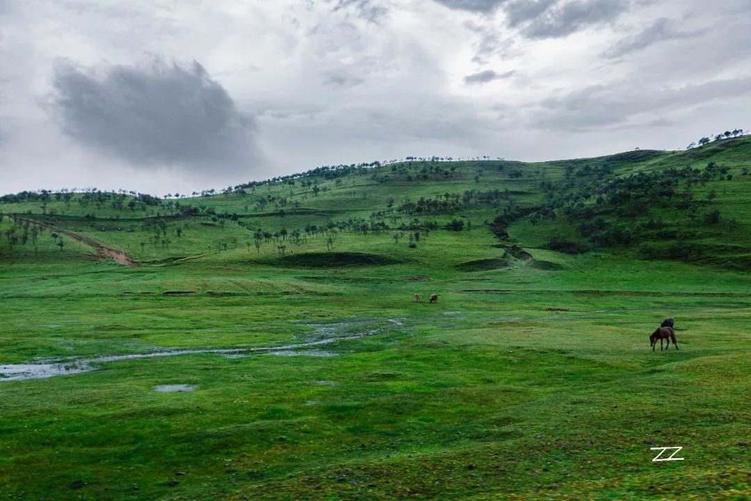 昭通大山包一览众山,昭通市昭阳区大山包乡
