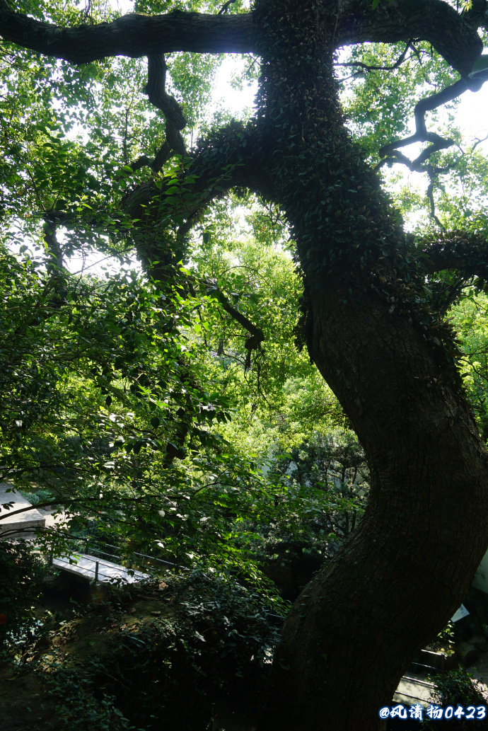 西湖有山名曰孤山(22——288)