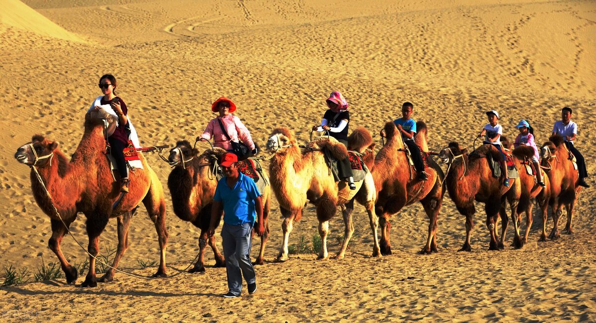 不到*疆新**，不知中国之大，不包邮的*疆新**到底有多大？