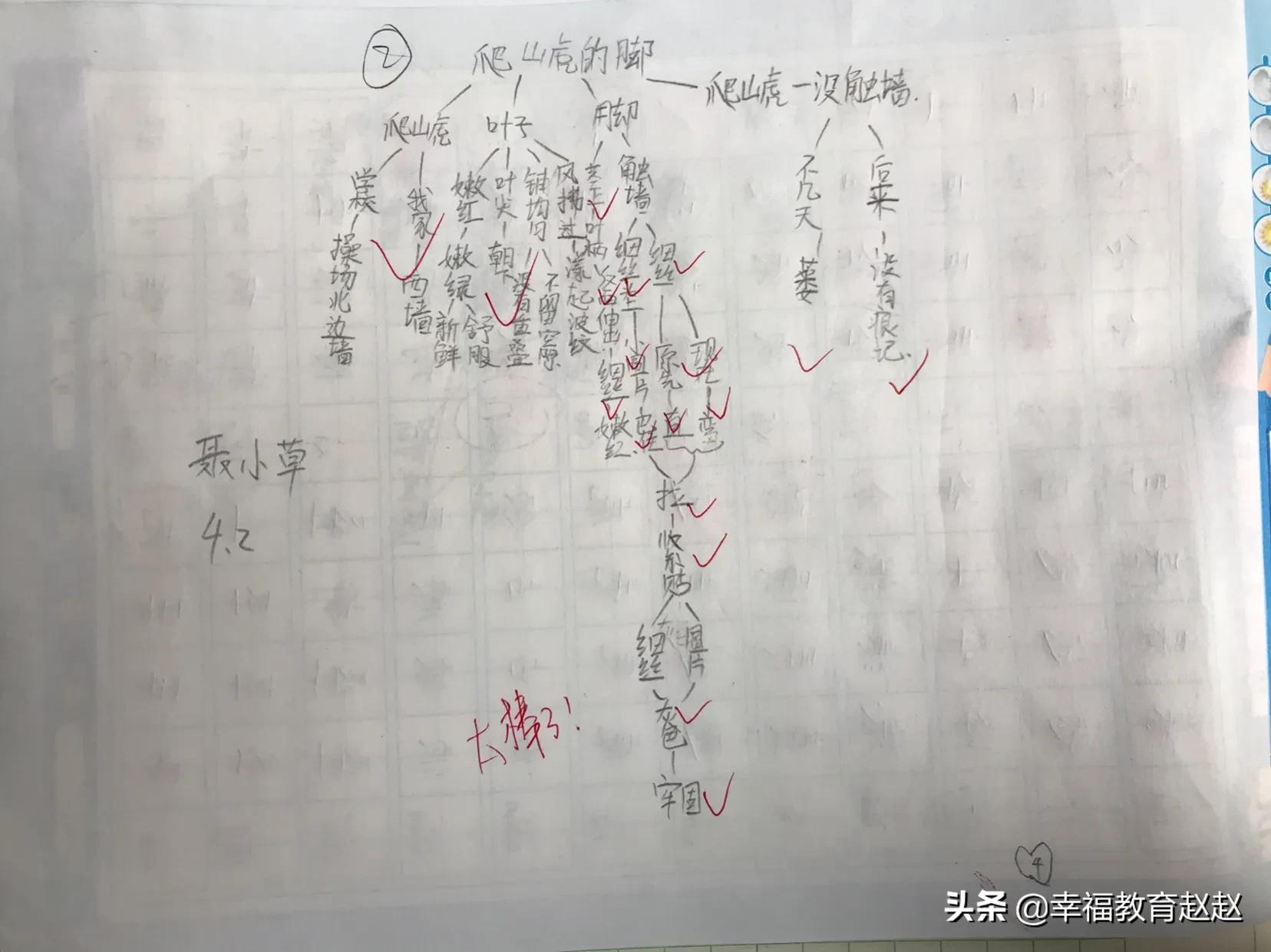 爬山虎的脚思维导图怎么画图片,爬山虎的脚思维导图绘画过程