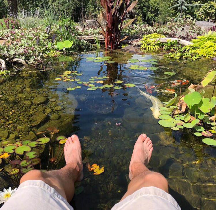 生态缸为啥不长藻不出绿水,生态缸为什么养不活虾