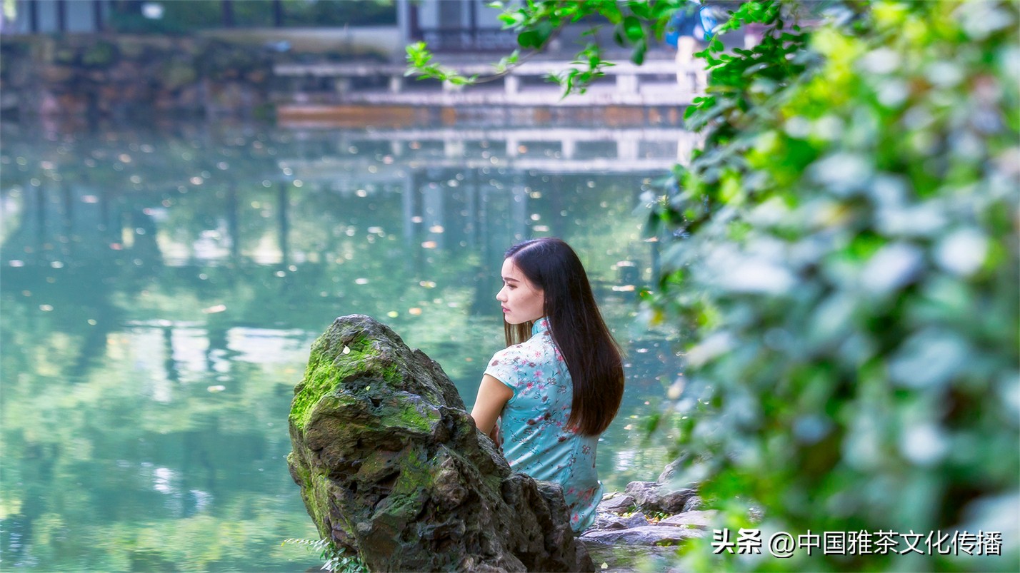 智者喜爱清泉，仁者喜爱山川