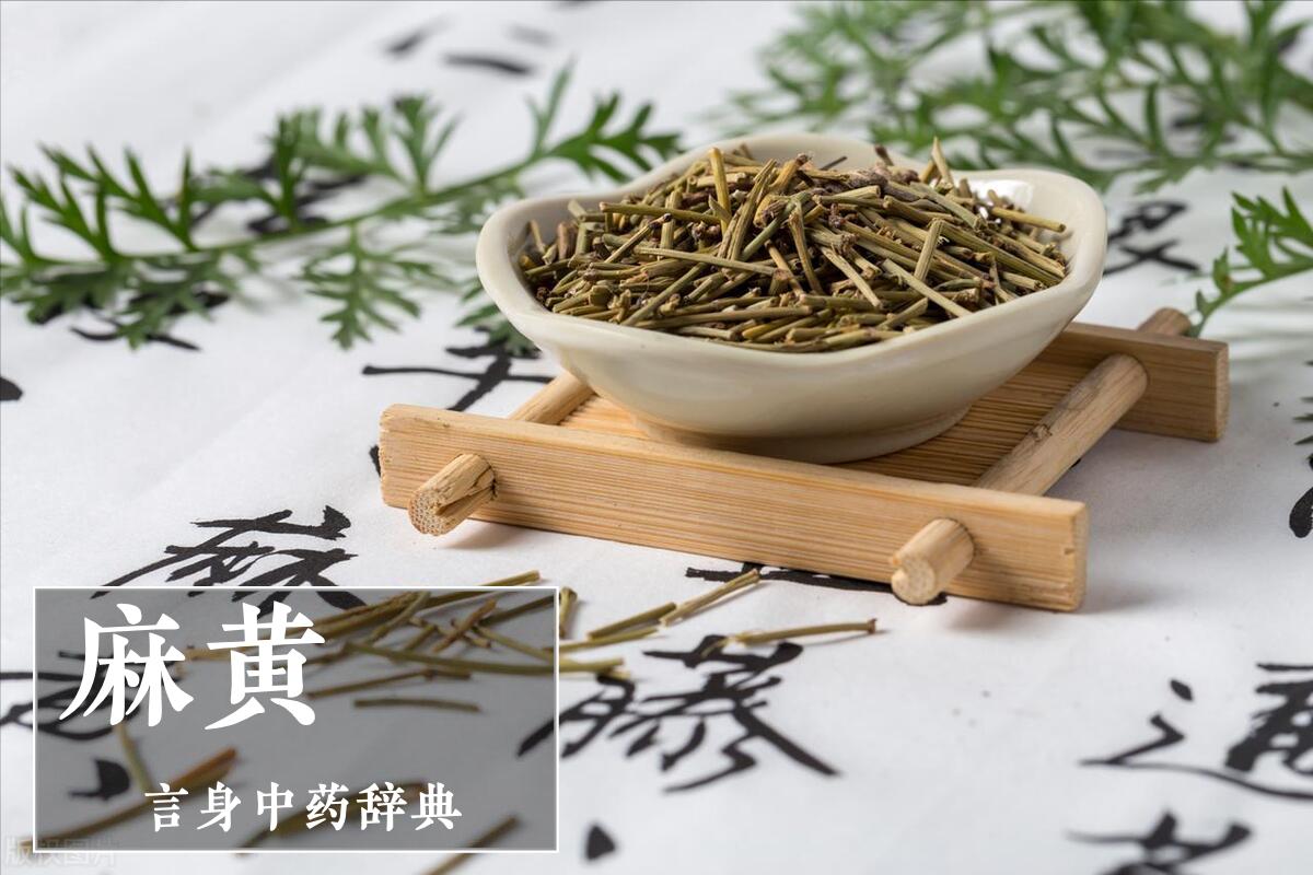 中药麻黄被禁用了吗,中药麻黄过敏的症状及处理