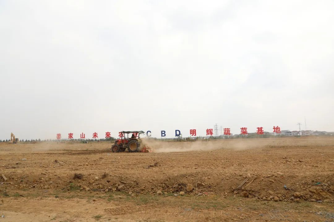 农村土地如何增值？柯城这个乡有好方法