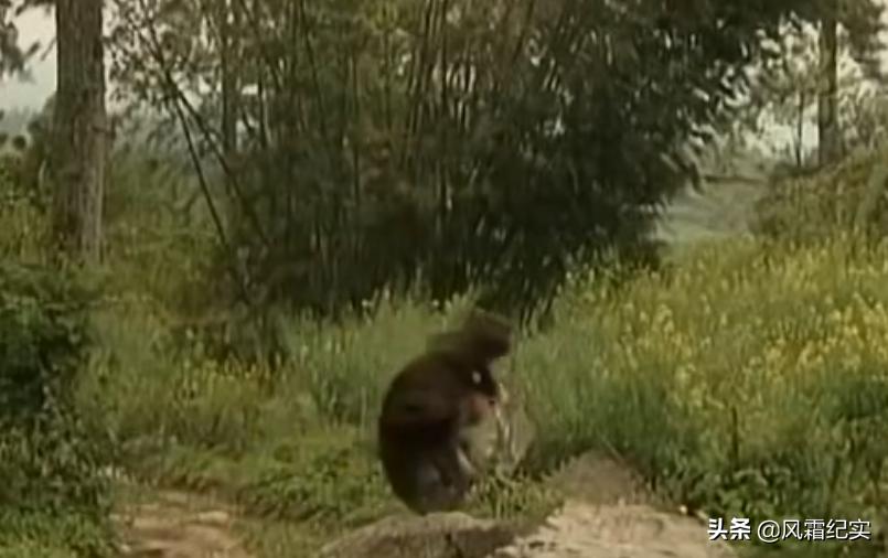 湖南男子失踪事件,湖南小伙走失十年后见到亲人