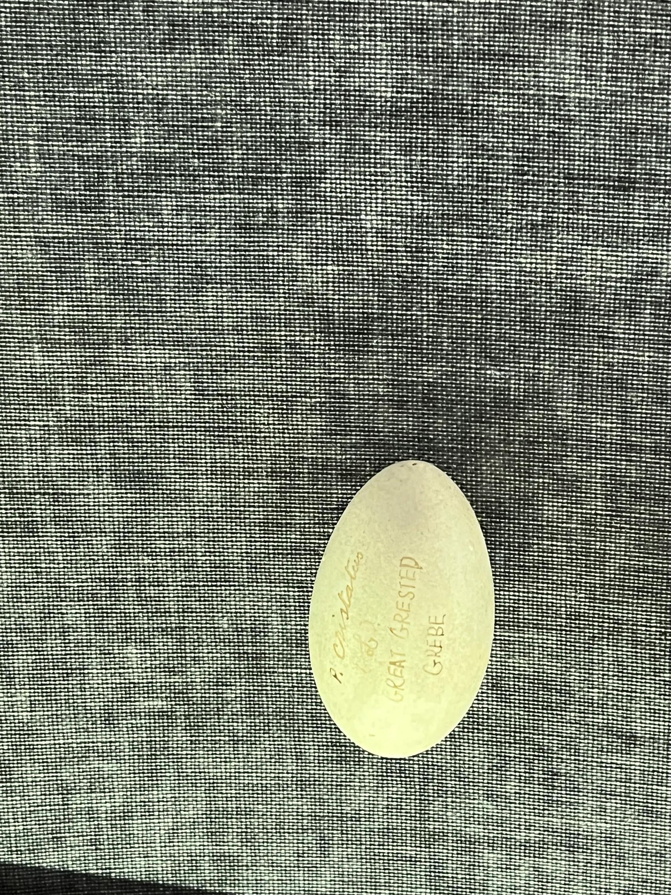 十一上海儿童旅游攻略,上海3天旅游攻略城隍庙