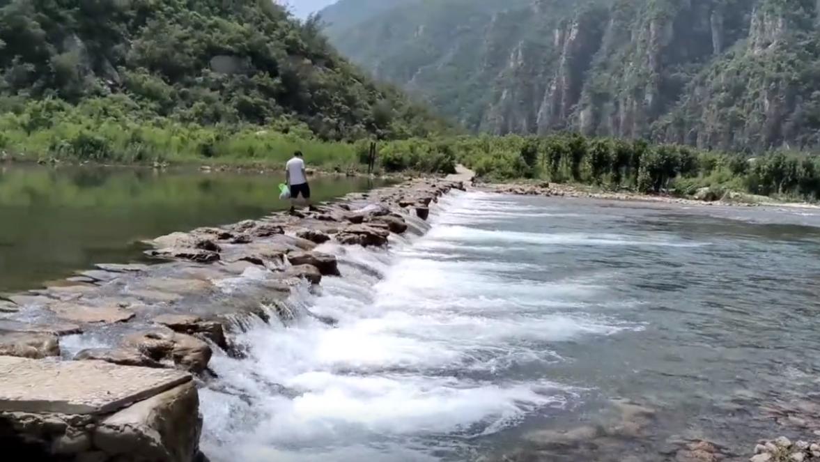 郑州植物园夏季开放时间,郑州夏季适合去哪旅游攻略