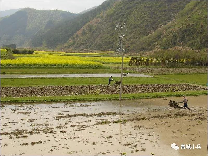 青阳县酉华镇的“九井十三坑”