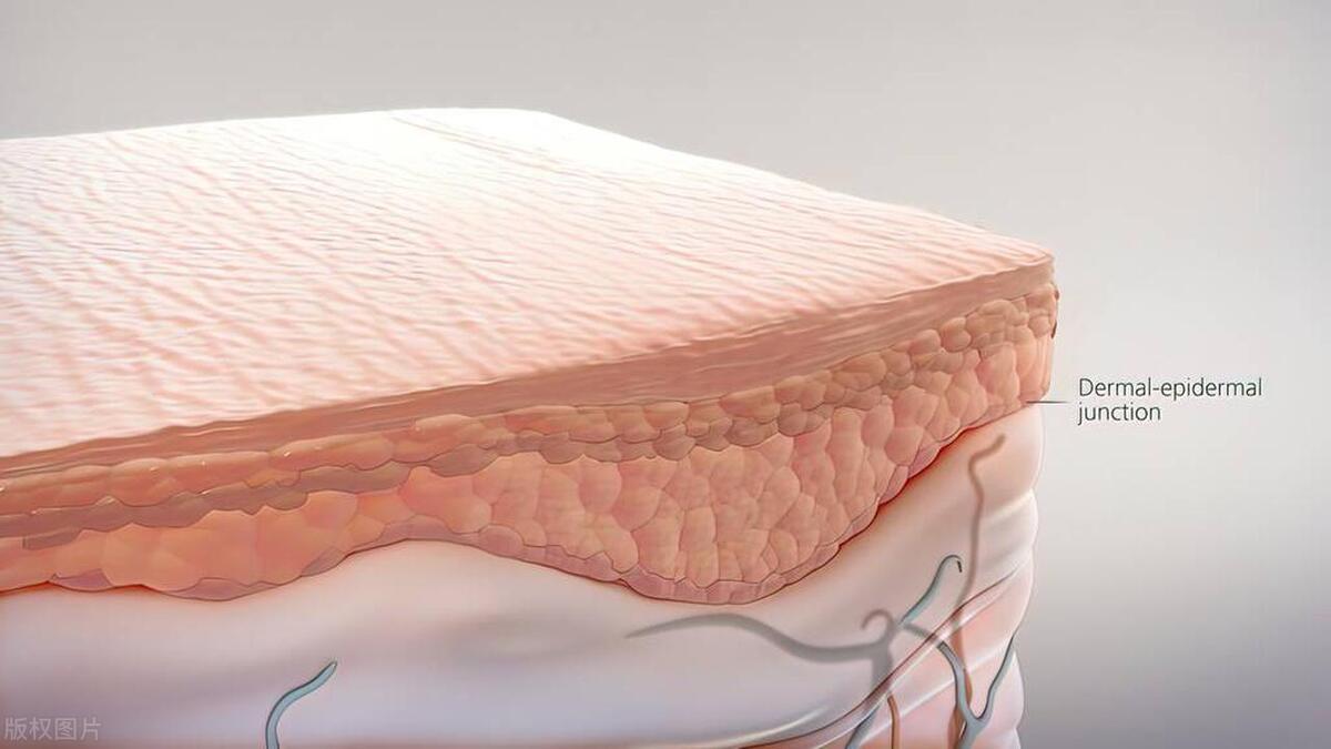 “外阴癌”都是拖出来的？医生：出现3种异常信号，要引起注意