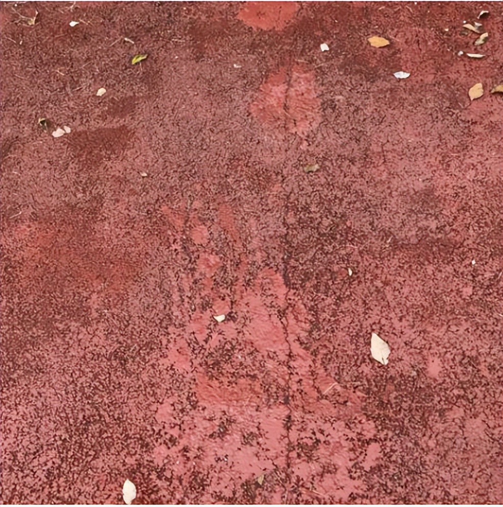 彩色混凝土施工注意什么,彩色混凝土工艺流程及价格