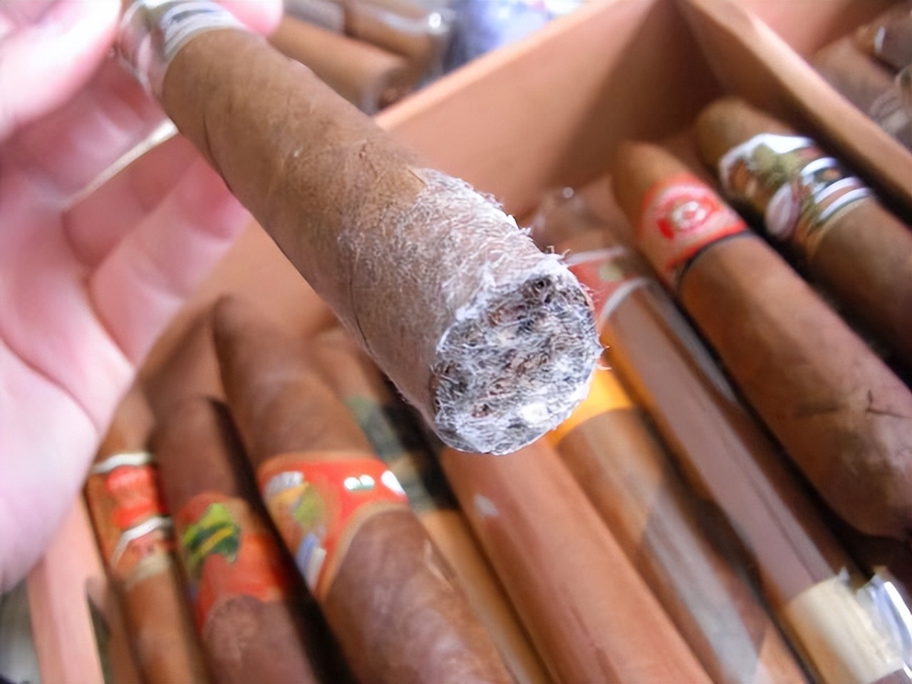 这三种香烟最好都不要抽了,5种香烟或被列入黑名单