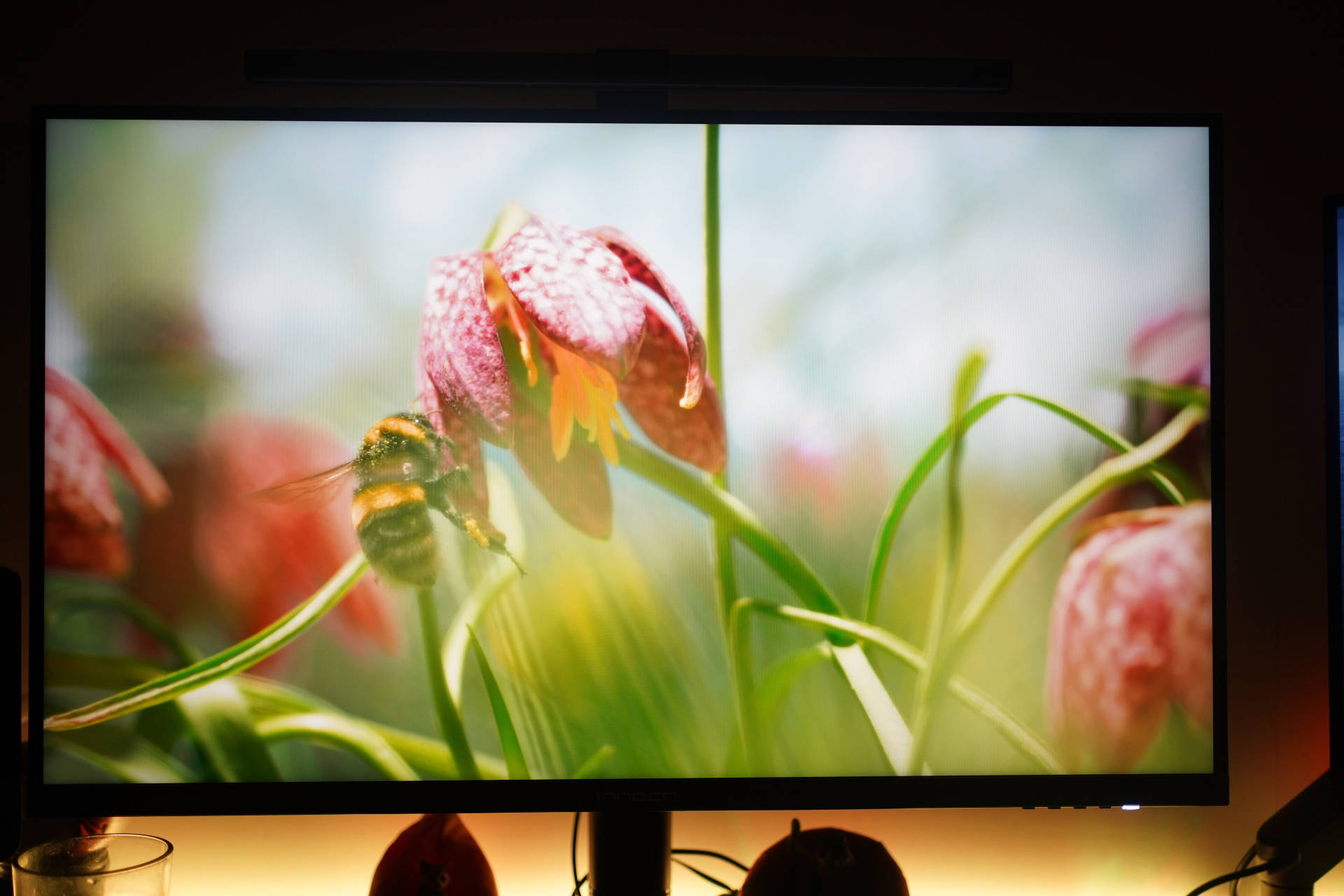 白天生产力晚上爱奇艺，八千字教你打造一键切换主题桌面