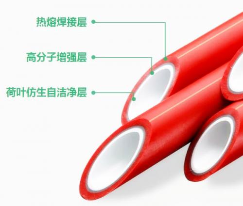 2021年ppr管品牌排行榜前十名,天净ppr管属于什么档次