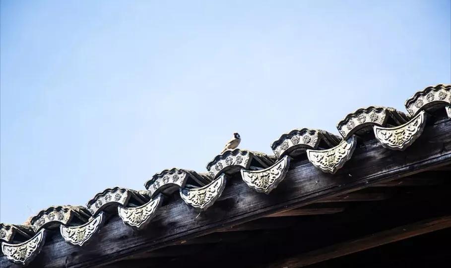 杭州西湖微信头像图片,杭州风景图片头像