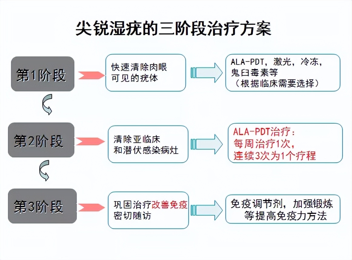 秘密花园激光,秘密花园特效药