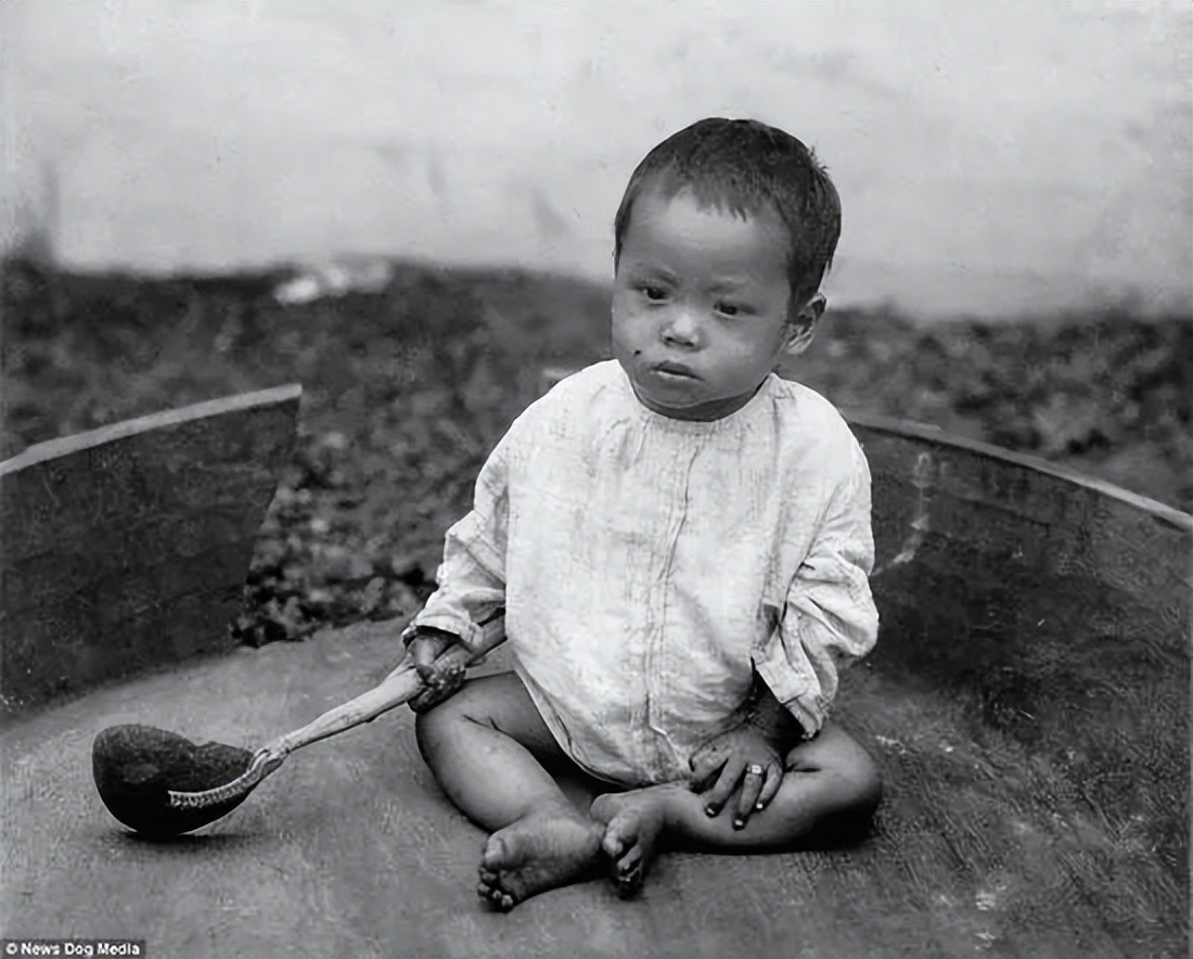 人类被动物当成宠物养在笼子里,把人类当作宠物关在笼子里