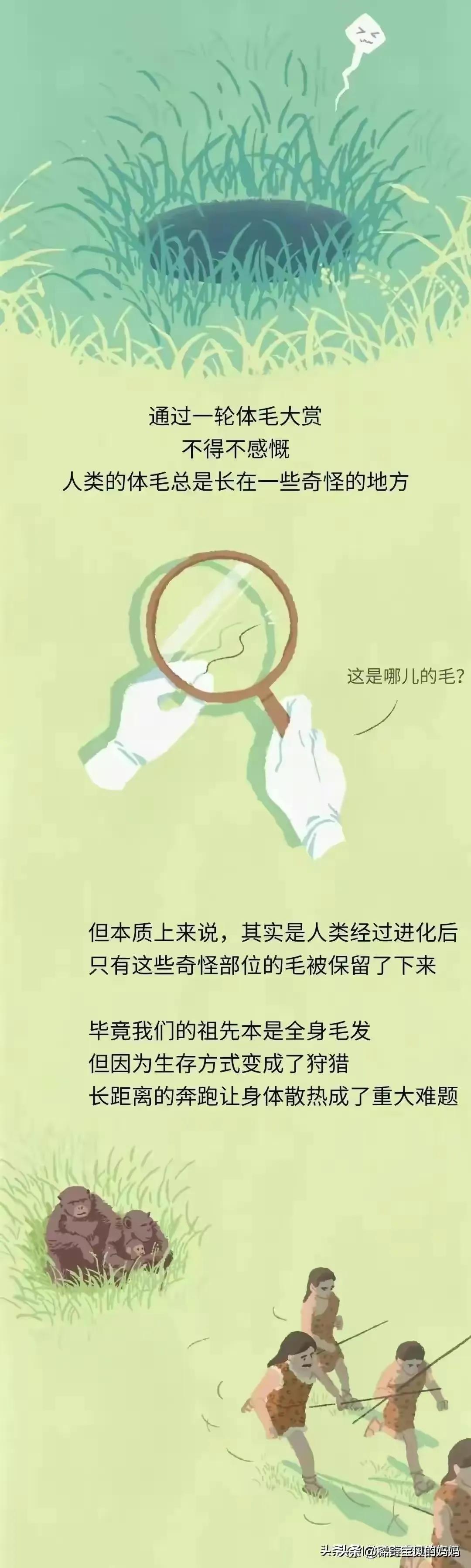 人类的毛发都是黑色的吗,人类体毛是为了什么存在的