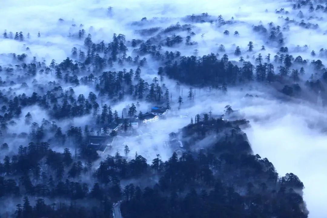 不上峨眉山自驾一日游最佳攻略,峨眉山全程不用步行攻略