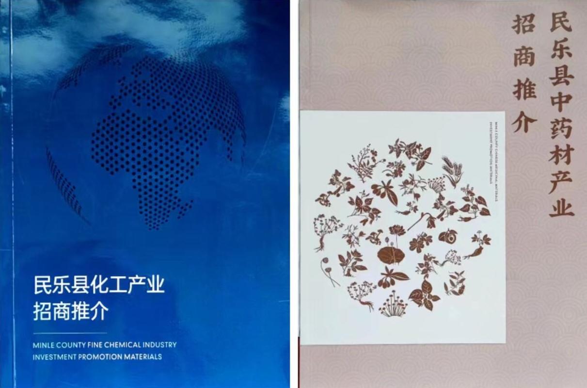 招商引资厚植县域发展动力源,民乐镇招商