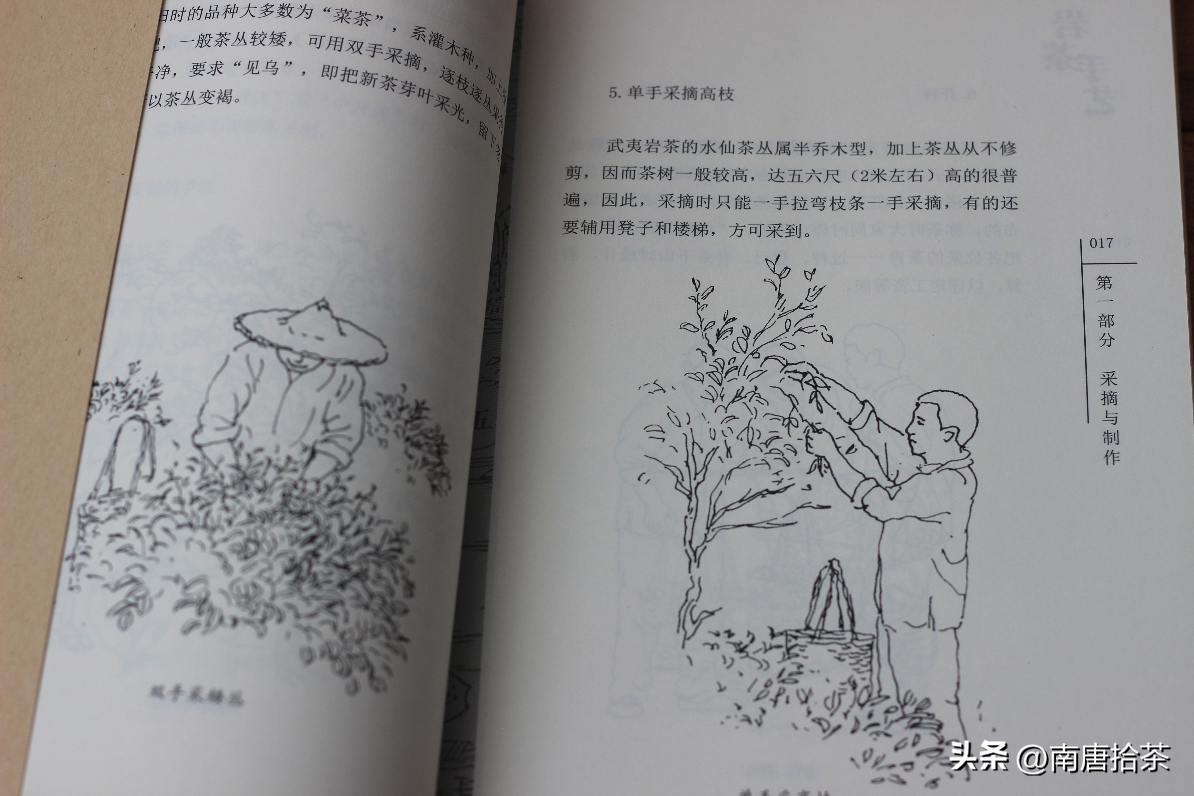 适合新手的茶书有哪些,茶小白入门看什么书