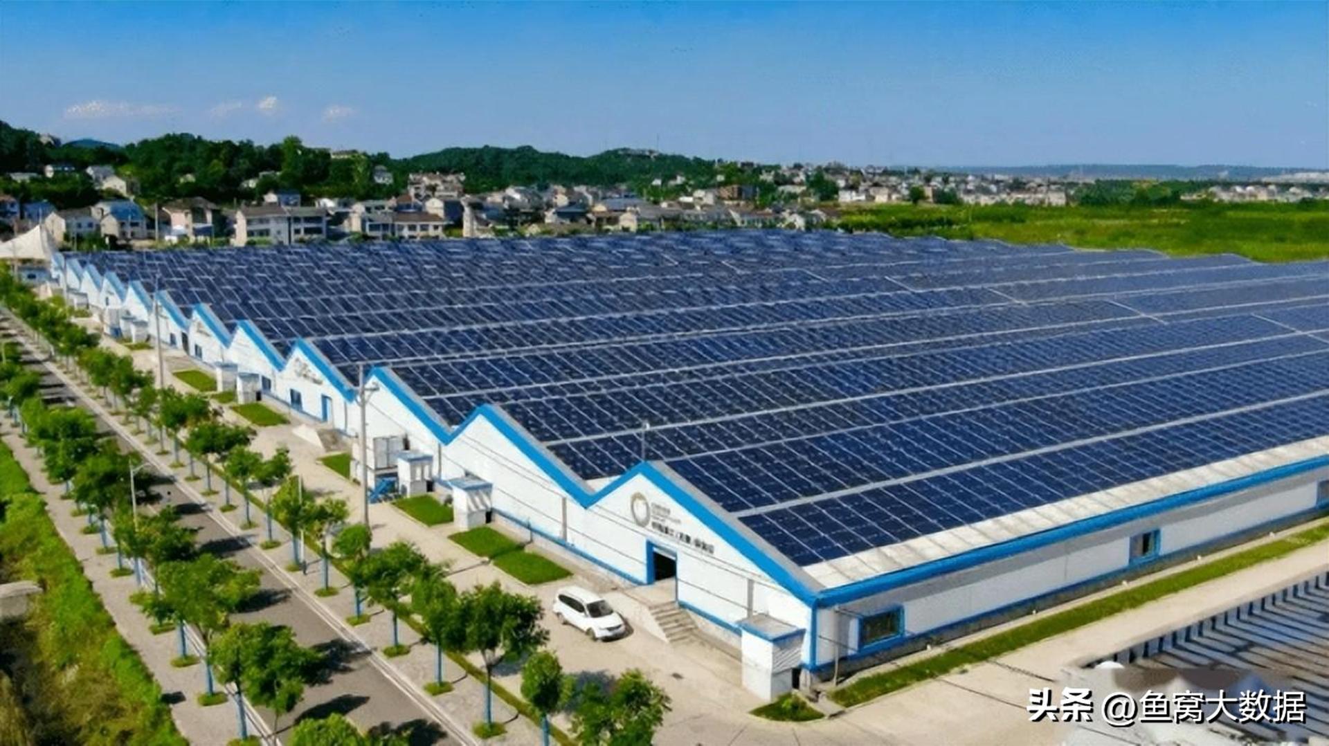 鲟鱼成为贵州村BA篮球赛的总决赛奖品，贵州用了20年