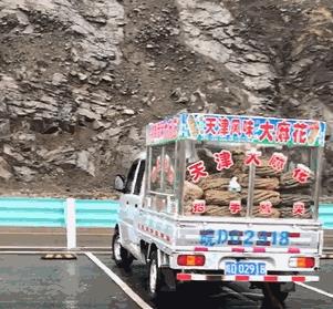 神秘组织天津大麻花的秘密,神秘势力天津大麻花