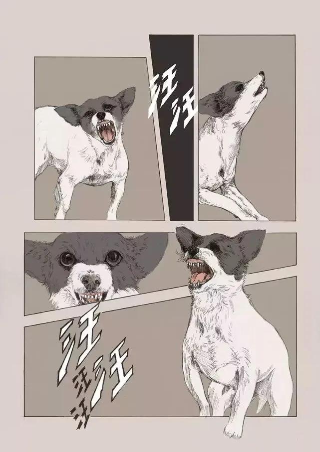 深夜狗吠怎样解决,深夜犬吠属于扰民吗