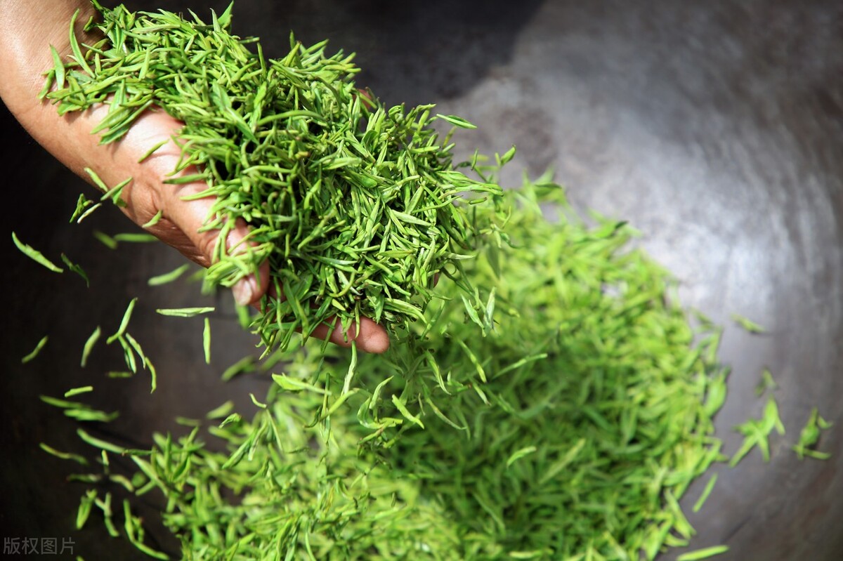 福鼎老白茶黄酮,老白茶黄酮最多