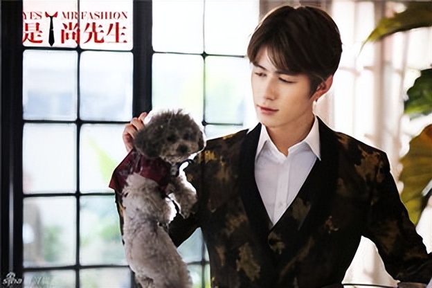 陈学冬被家人吐槽,陈学冬惩罚孩子综艺