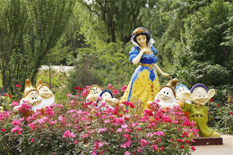 平阴玫瑰花原创包装设计,平阴玫瑰花生产厂家电话