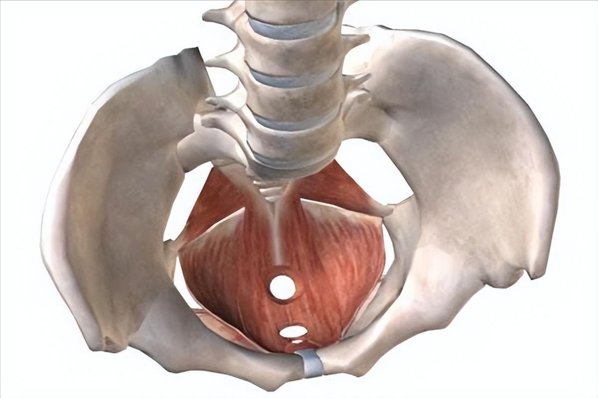 右小腹痉挛痛是什么原因女性,女性尿后膀胱痉挛的原因及处理