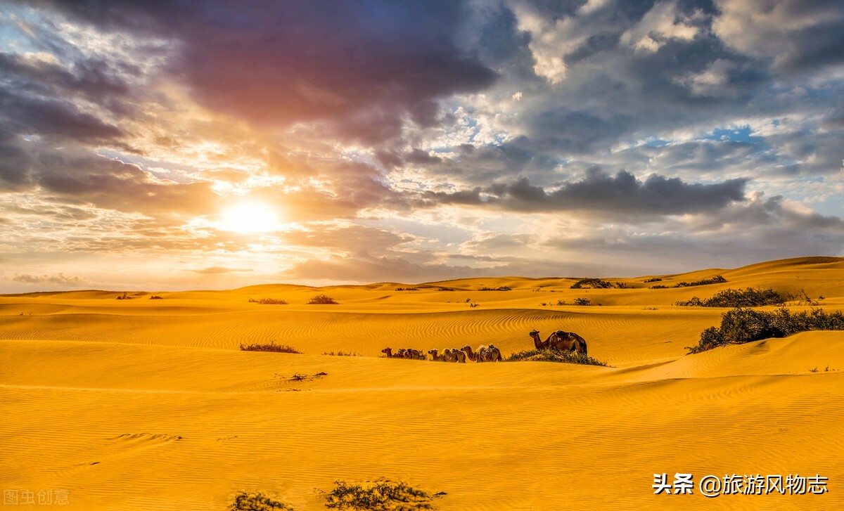 内蒙古有沙漠的地方有哪些,内蒙古九大草原五大沙漠