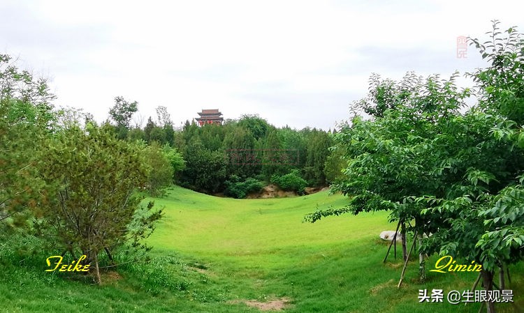 淄博花山公园好看吗,推荐一个好地方淄博花山公园