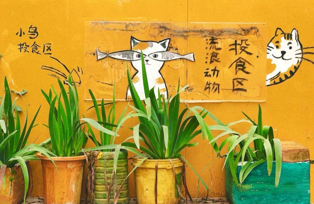 强烈推荐打卡西安网红地,西安网红墙拍照攻略