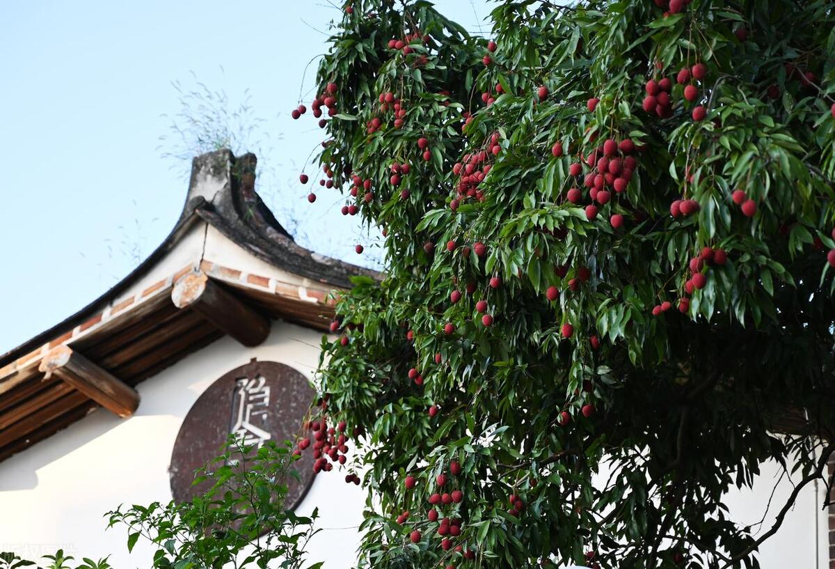 九成的国人都对她有误解！上天造神、下地造鞋，夹在福泉两州之间