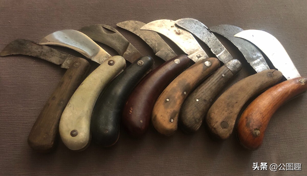 俄国和苏联战争,俄国和苏联