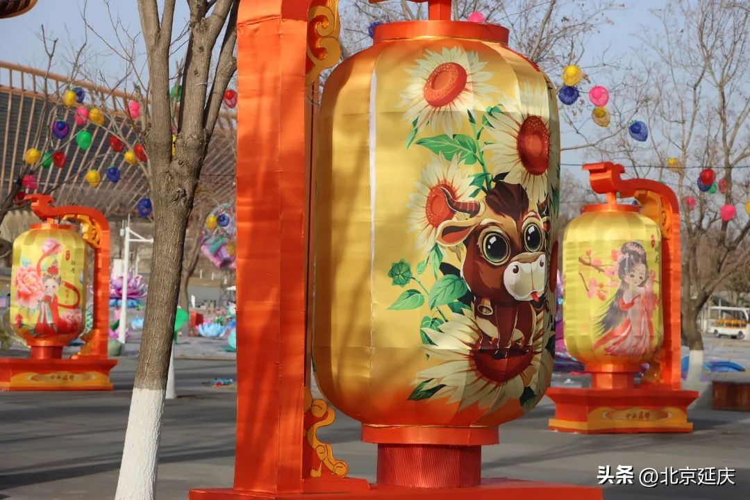 北京延庆世园公园新春闹花灯,北京世园公园花灯将点亮