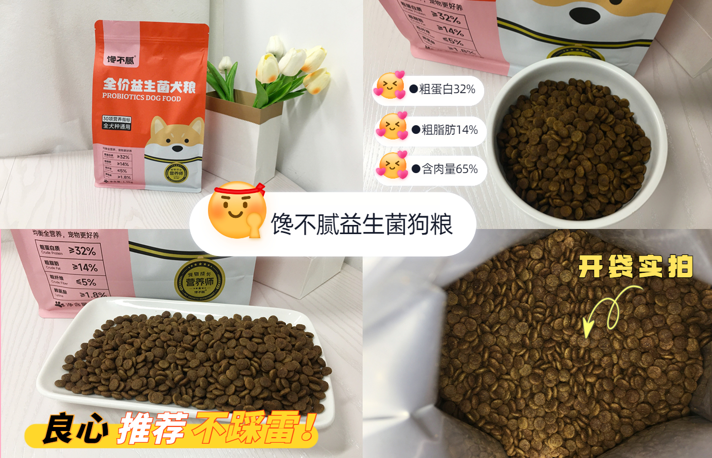 无体味不掉毛不拆家不叫的狗,体味最大的狗狗排行榜前十位