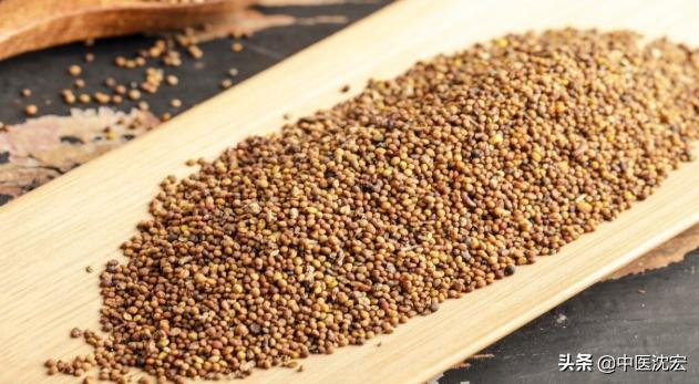 肾精亏虚导致的白发还能变黑吗,肾精肾气亏虚为什么会掉头发