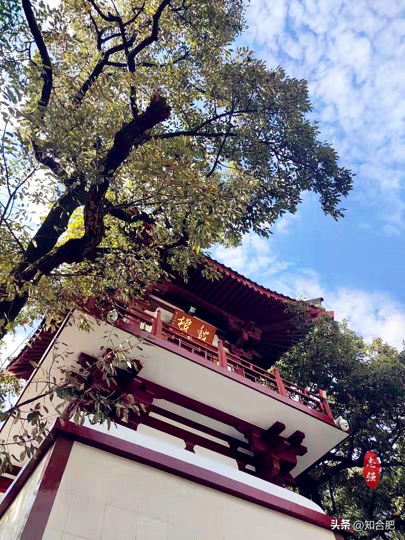 合肥秋游最佳路线,合肥秋游景点推荐