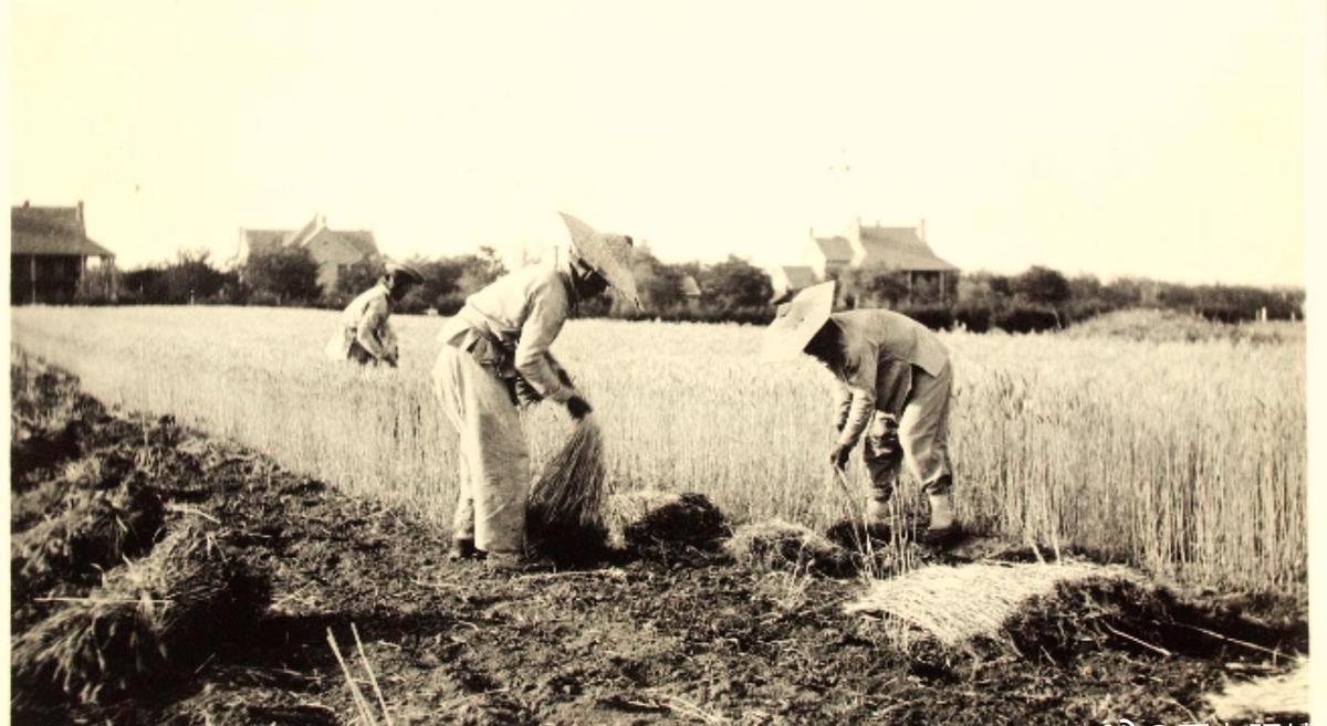 高清老照片：旗人格格大腿岔开豪放洗衣，地主三妻四妾不输女明星