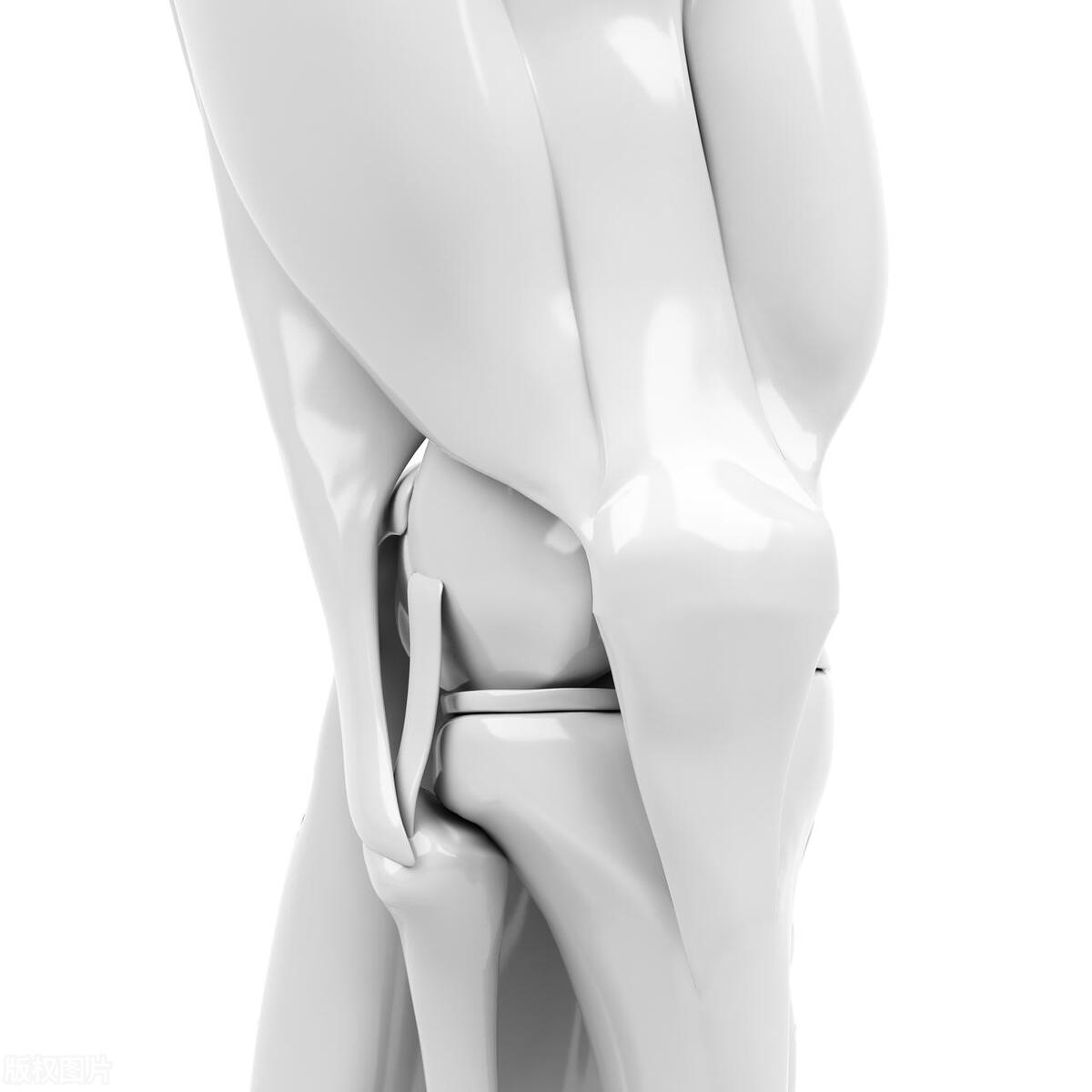 前交叉韧带断裂篮球历程,前叉韧带断裂篮球改变打法