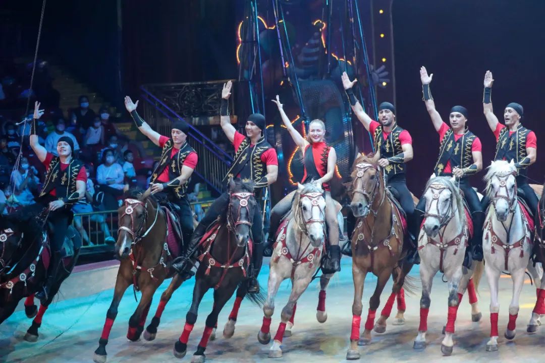 极致的视觉盛宴冲击你的感官,极致的视觉盛宴感受