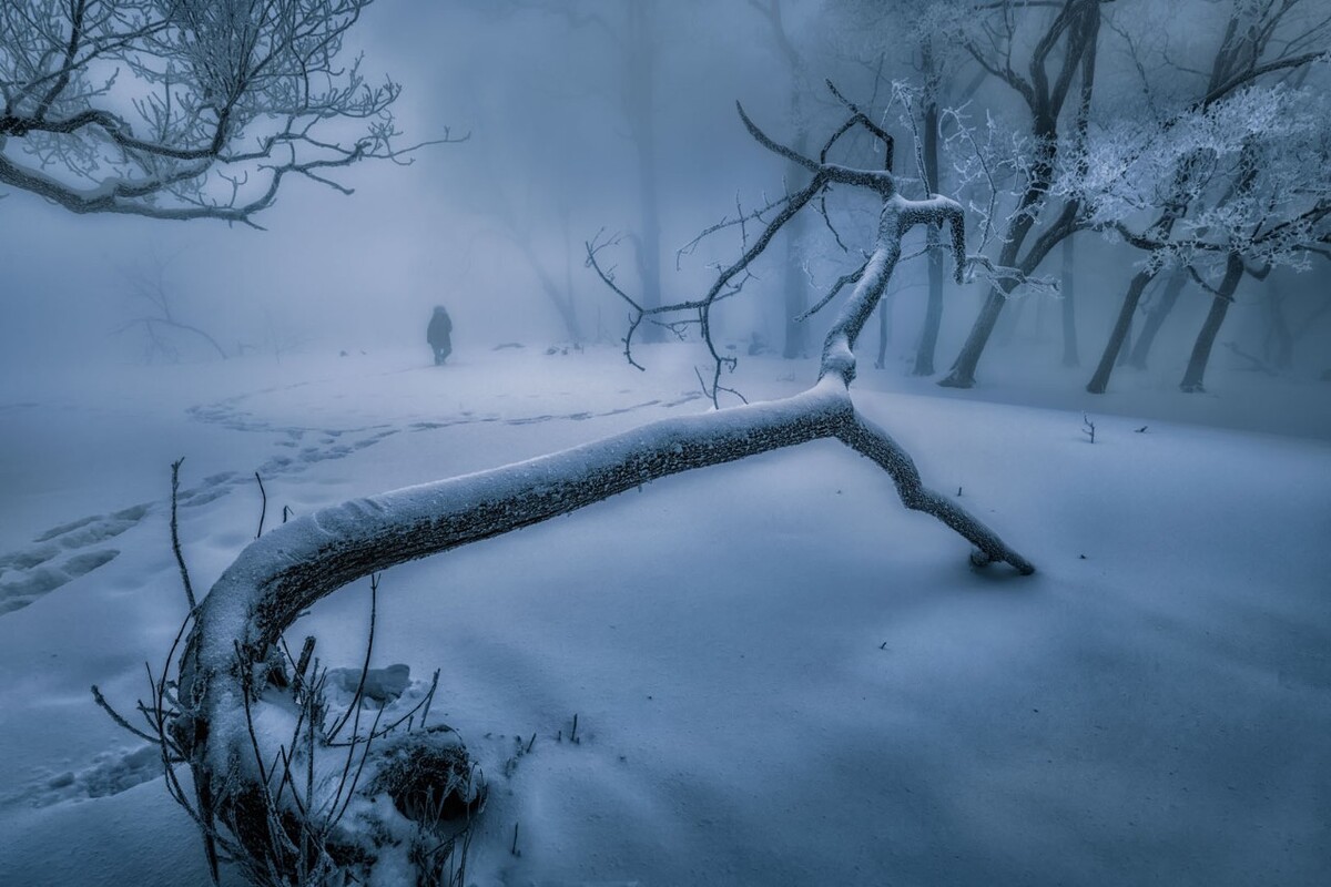 雪夜户外露营,雪夜歌曲