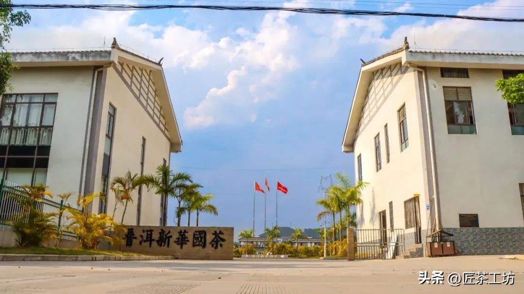 华普昌丨探索普洱茶高端品质，开启茶行业华丽篇章！