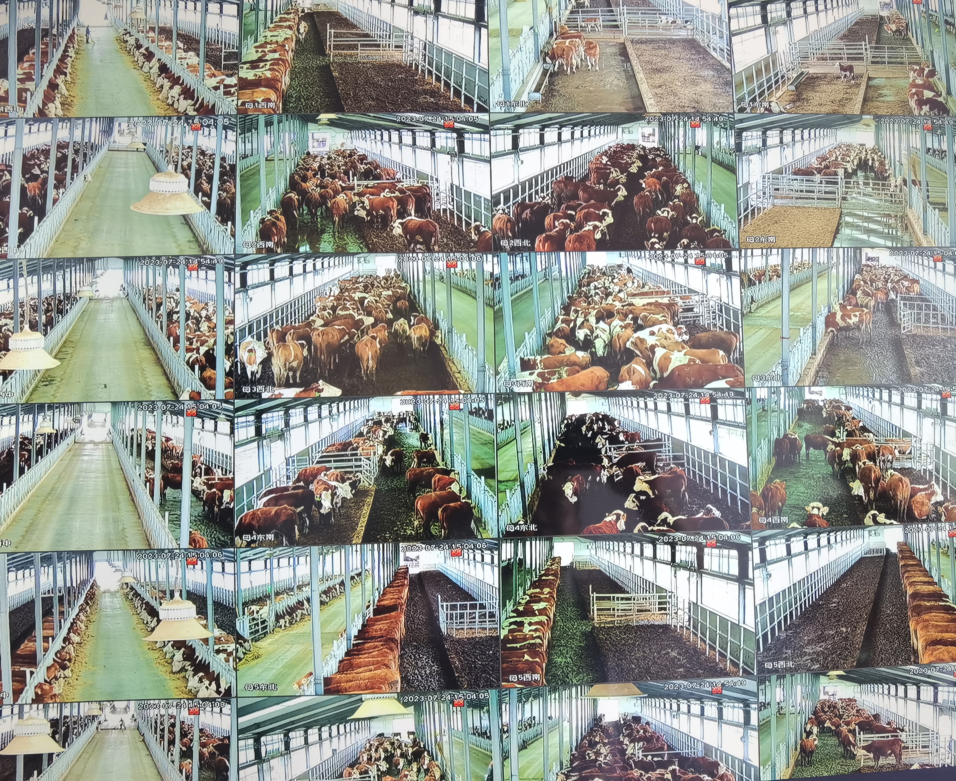 通榆县乡村振兴六大工程,村集体收入超百万